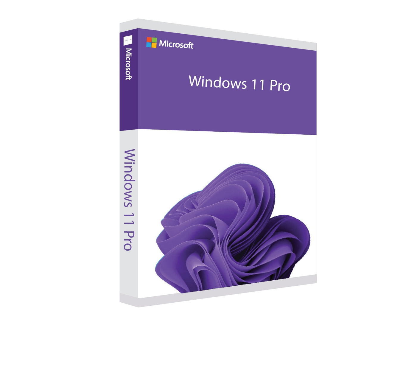 Windows 11 Pro DE